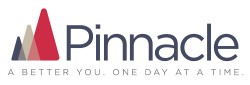 Image of mountain for Pinnacle logo
