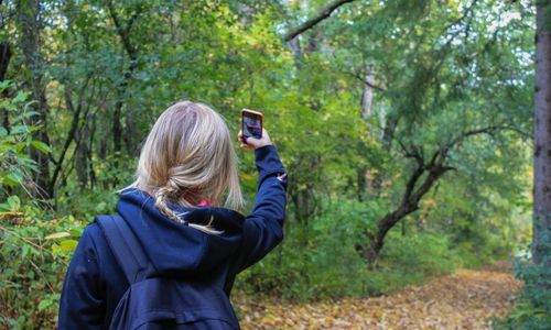 Image of a girl with her back to the camera, holding a phone to photograph the woodland