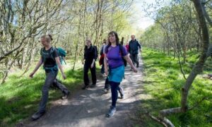 Photograph of a group of young people walking in woodland as part of Stag Walkers